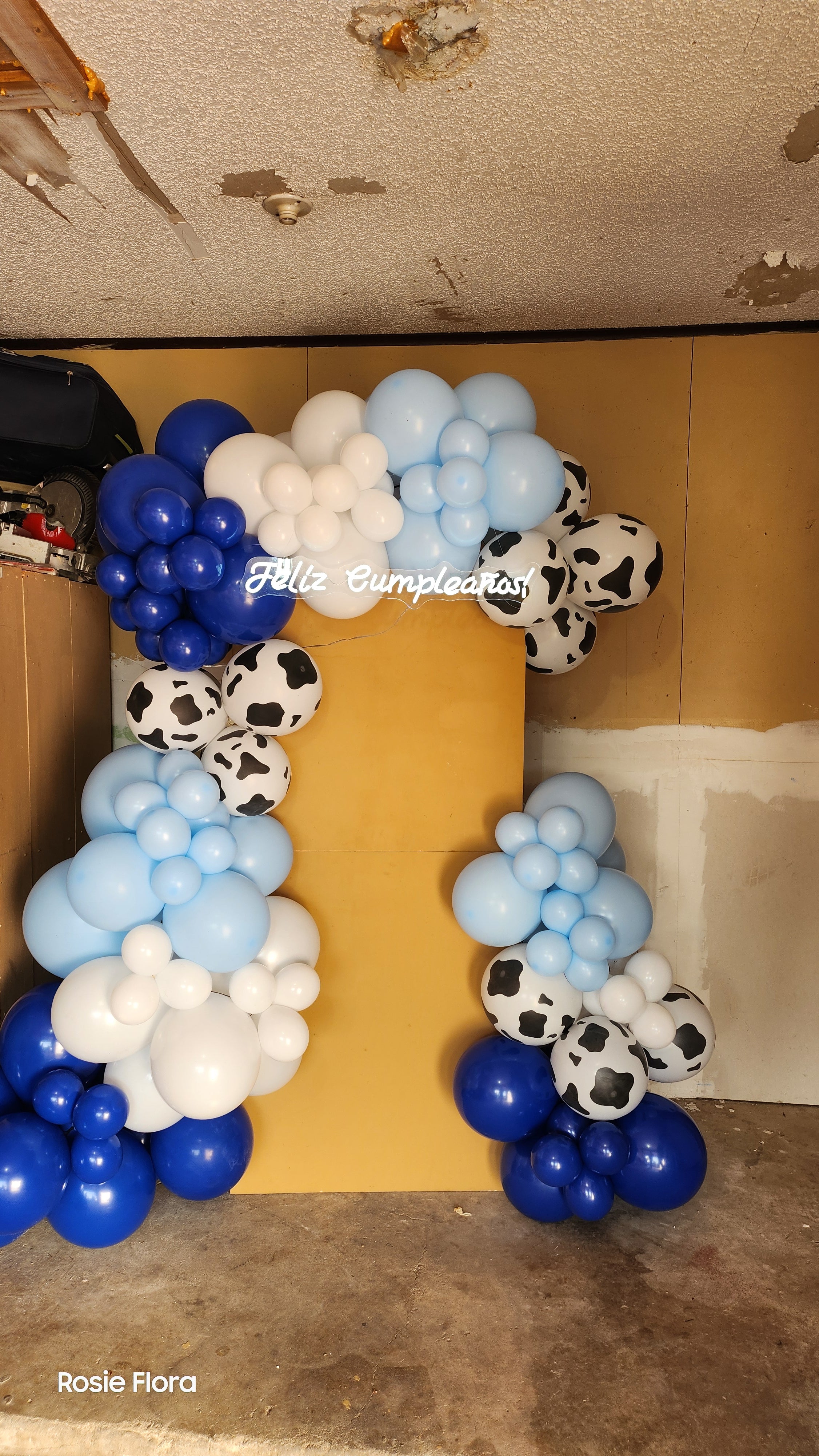 Balloons & Board