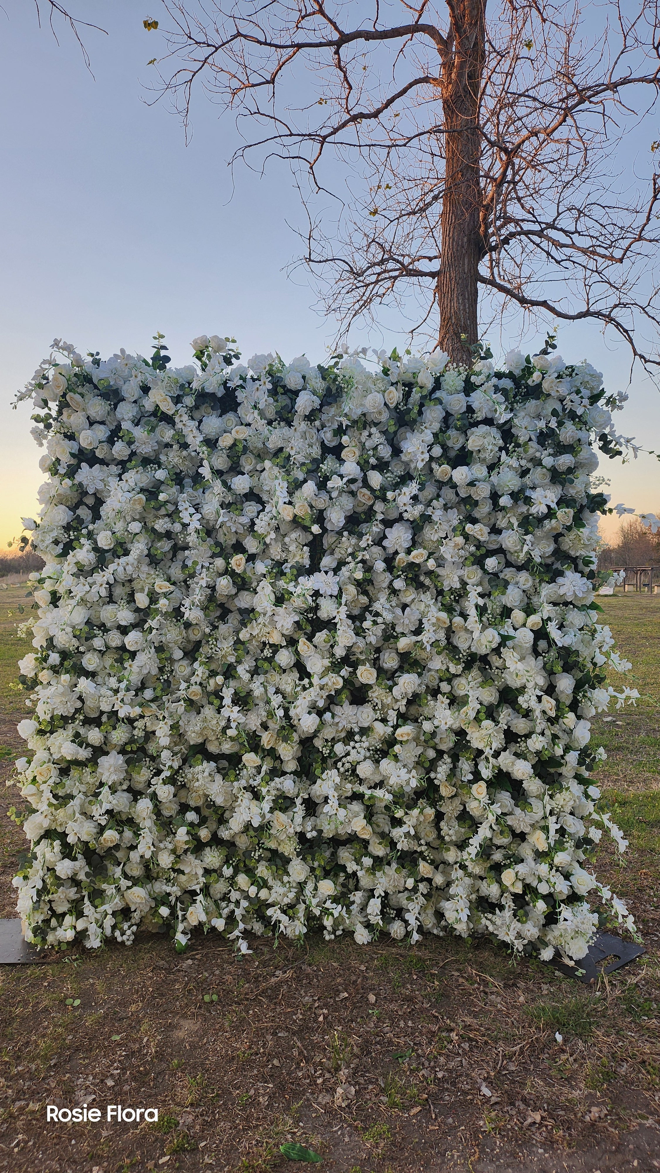 Blanca 8ft x 8ft