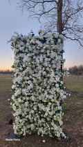 Blanca 8ftx 4ft