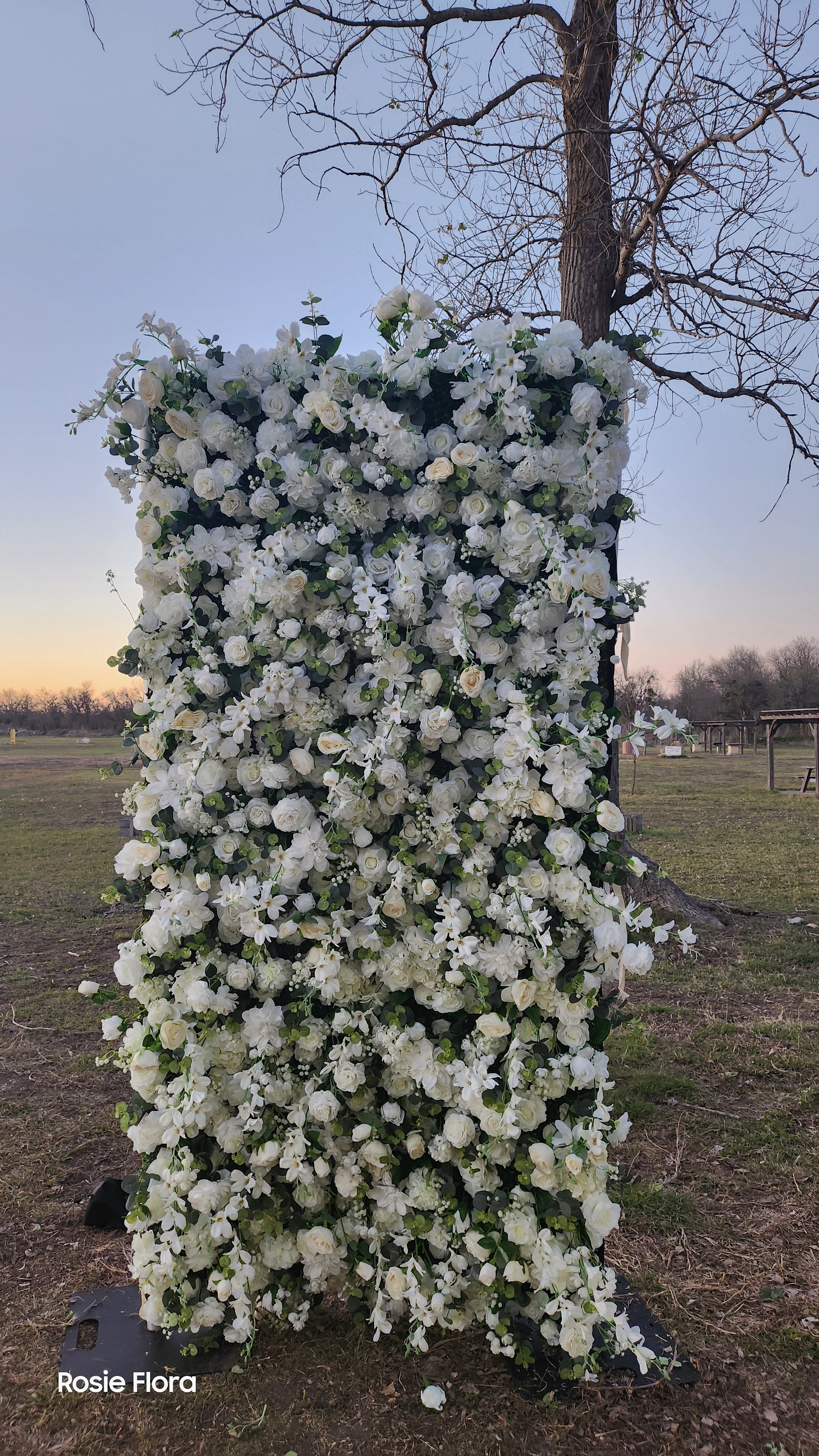 Blanca 8ftx 4ft